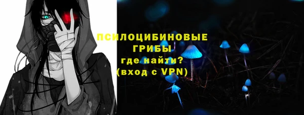 ешки Алексеевка